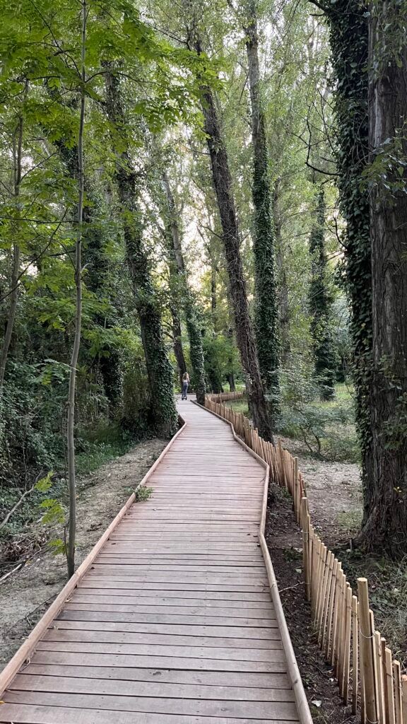 Vlonderpad in het park in Crest